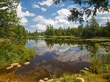 Weller Pond 22 : Vermont Canoe Spring